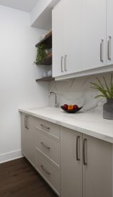 Sirius model home walk-in pantry.